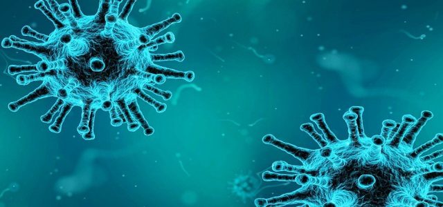 U Vojvodini juče 958 novih slučajeva zaraze korona virusom