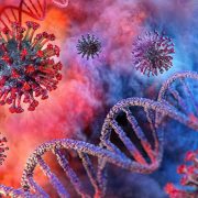 10 novih slučajeva zaraze korona virusom u Staroj Pazovi