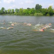 Sremska Mitrovica domaćin plivačkog maratona 15.avgusta